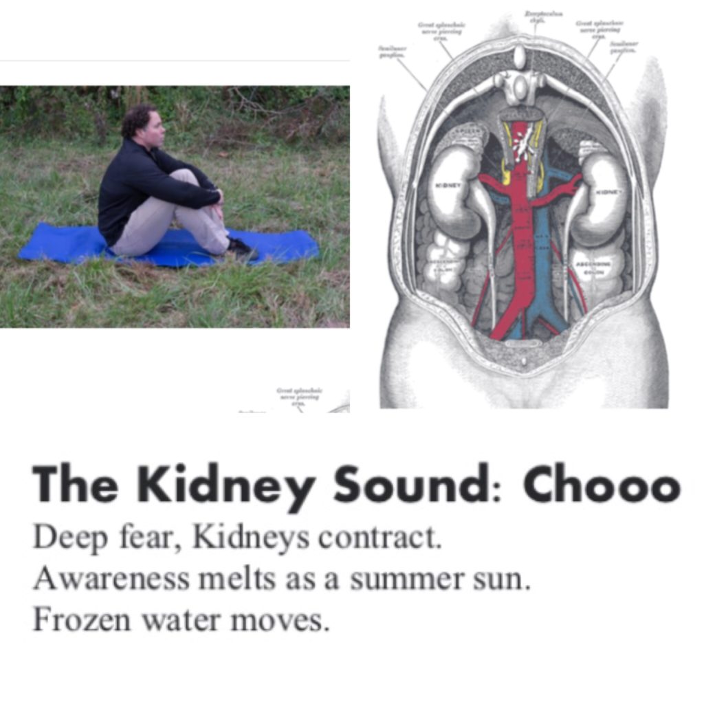 Kidney Warmth and The Kidney Sound The Tao Blog