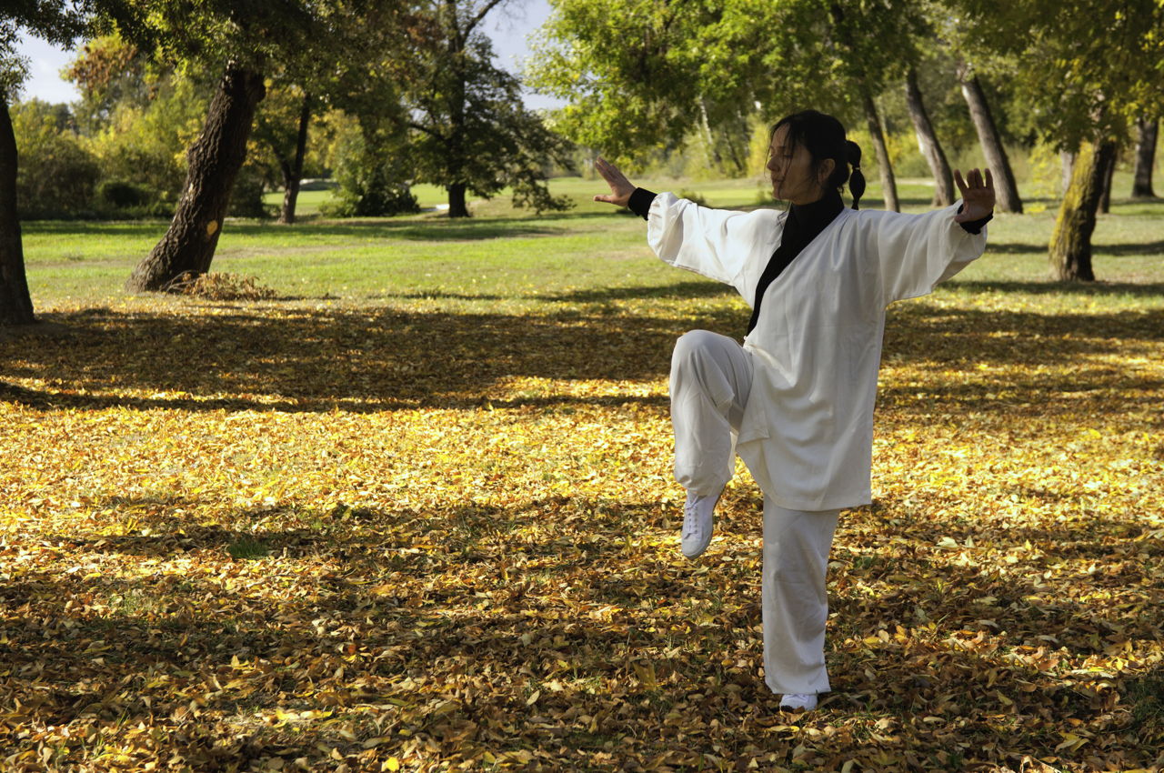 Major Benefits of Chi Kung and Tai Chi The Tao Blog